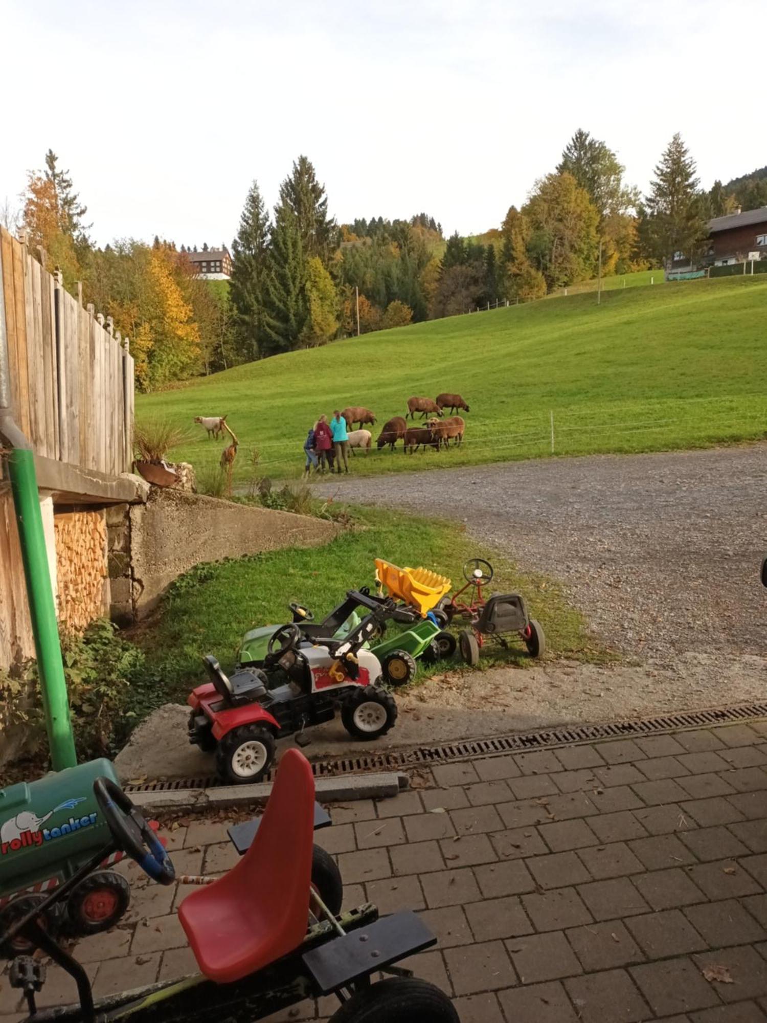 Willa Haus Hagspiel Hittisau Zewnętrze zdjęcie