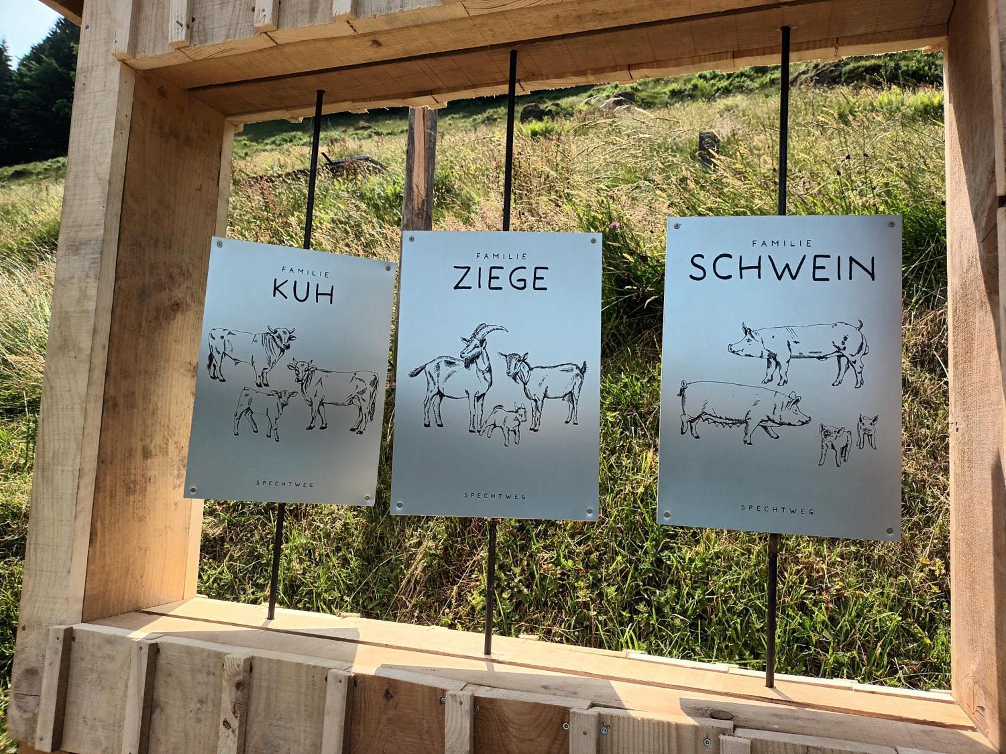 Willa Haus Hagspiel Hittisau Zewnętrze zdjęcie
